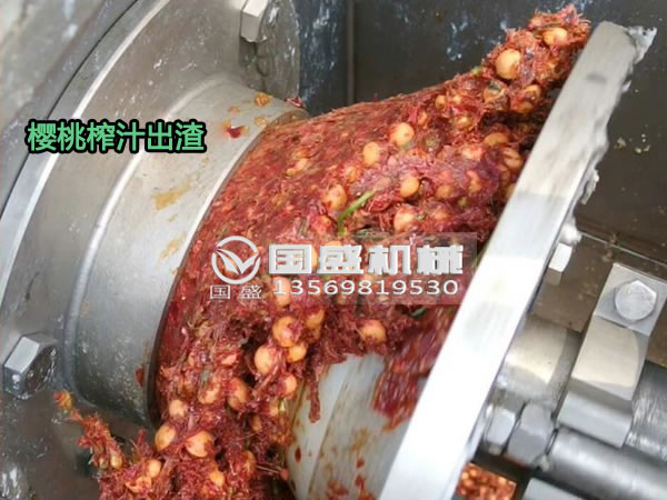 麻豆破解在线无限观看櫻桃螺旋壓榨脫水機